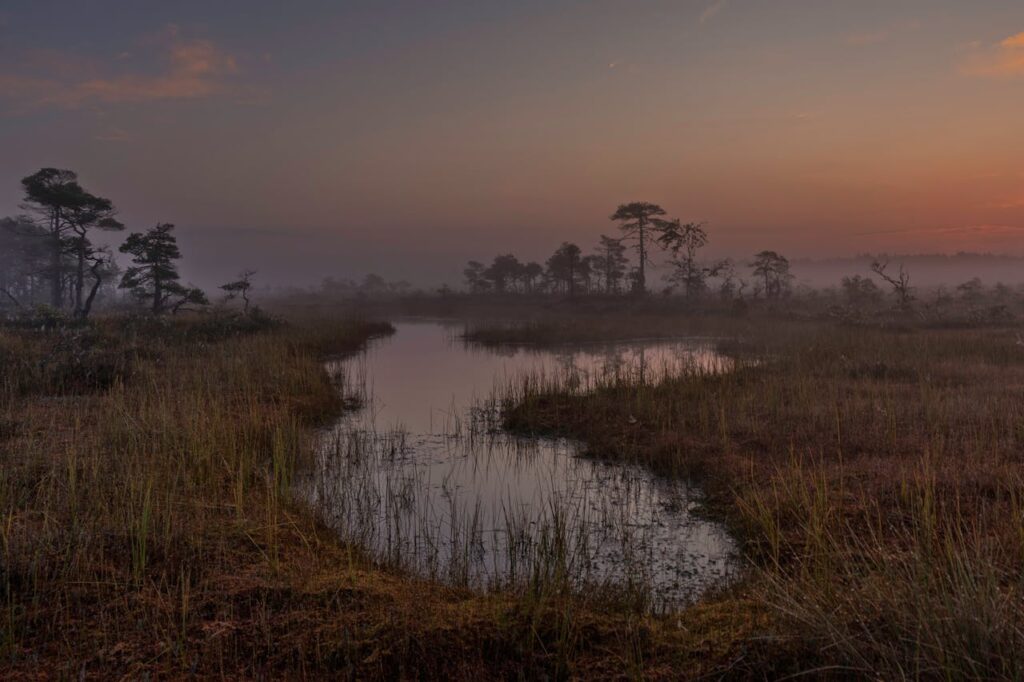 pexels photo 33169839.jpeg